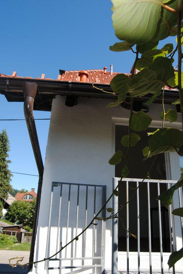 Apartment With Free Parking Ljubljana Luaran gambar