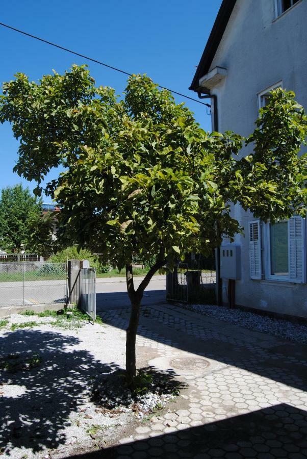 Apartment With Free Parking Ljubljana Luaran gambar